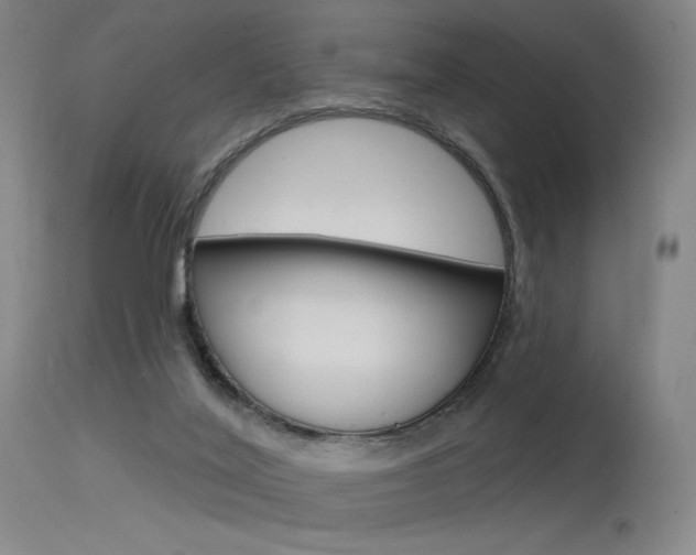 X0000115530020200911061138