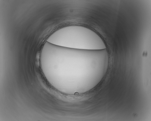 X0000115530022200911061138