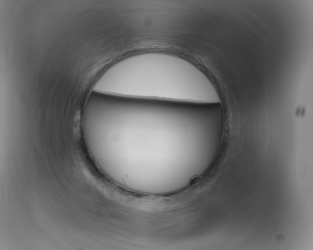 X0000115530024200911061138