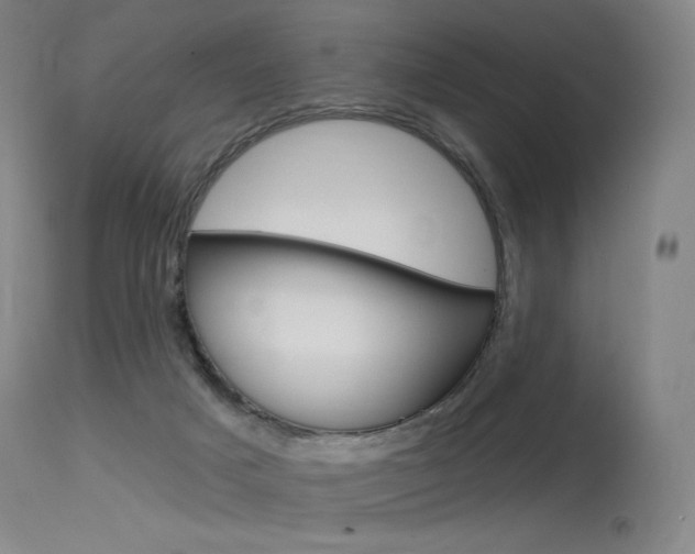X0000115530025200911061138