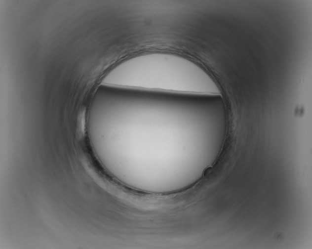 X0000115530028200911061138