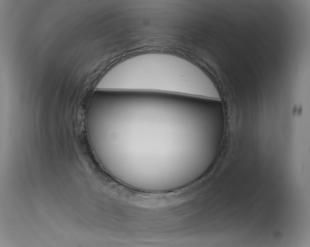 X0000115530029200911061138