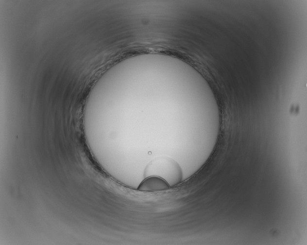X0000115530030200911061138