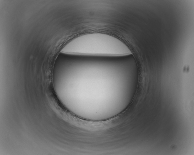 X0000115530031200911061138
