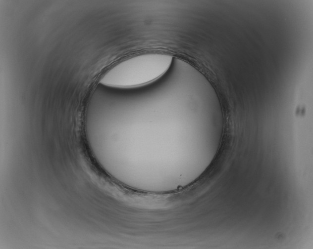 X0000115530032200911061138
