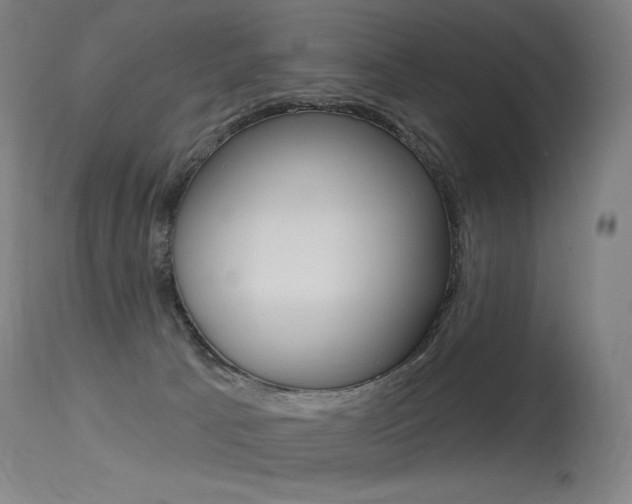 X0000115530033200911061138