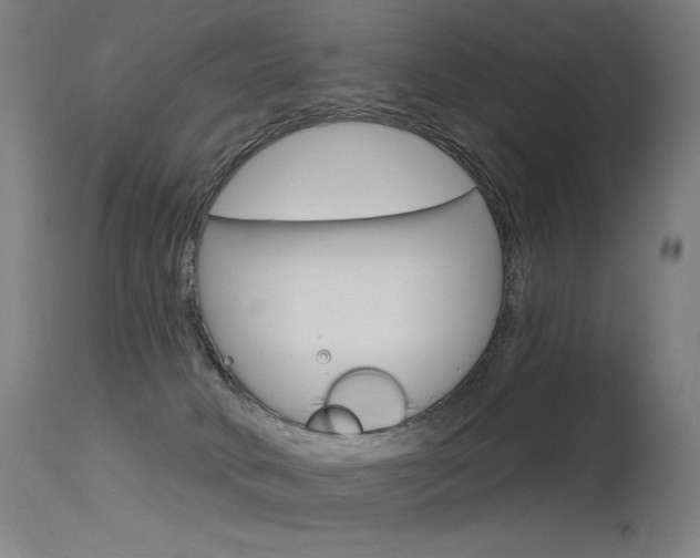 X0000115530034200911061138