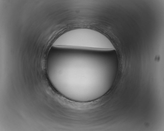 X0000115530035200911061138