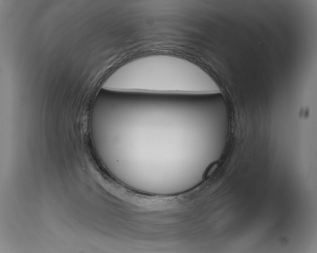X0000115530036200911061138