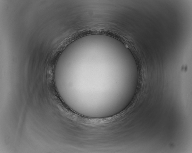 X0000115530037200911061138