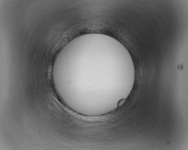 X0000115530038200911061138