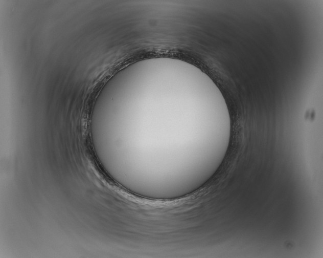 X0000115530039200911061138