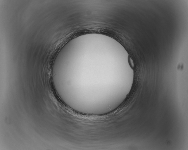 X0000115530040200911061137