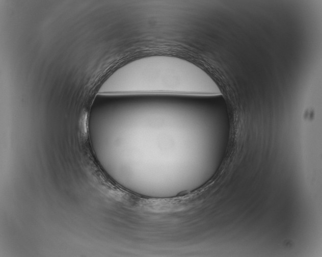 X0000115530041200911061137