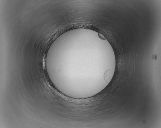 X0000115530042200911061137