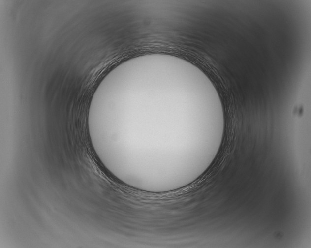 X0000115530043200911061137
