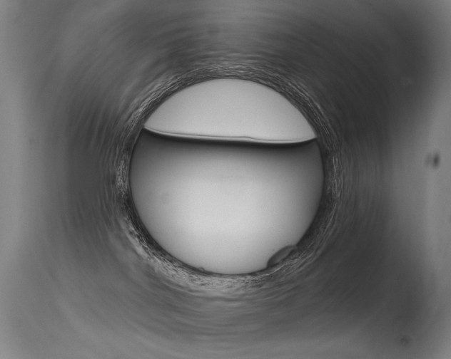 X0000115530044200911061137
