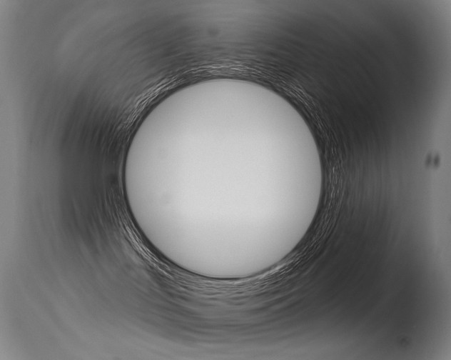 X0000115530047200911061137