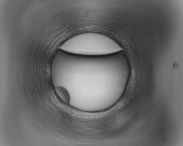 X0000115530048200911061137