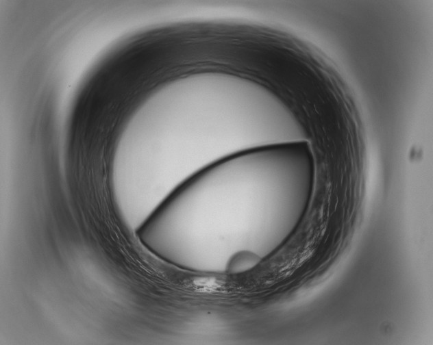 X0000115530050200911061136