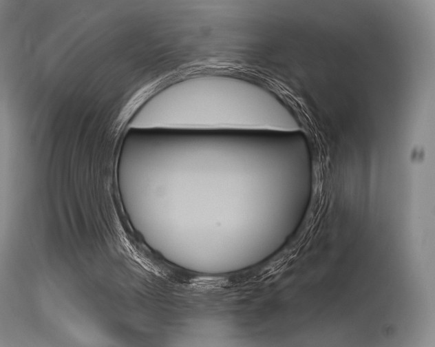 X0000115530051200911061136