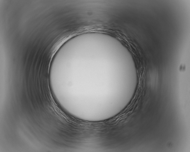 X0000115530052200911061136