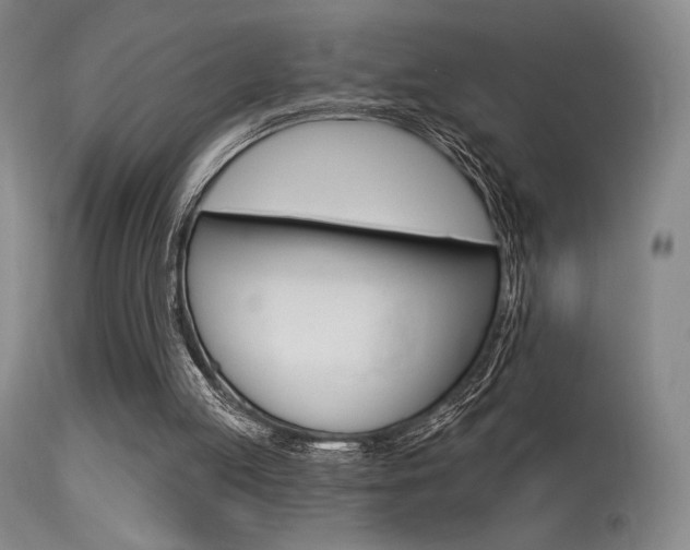 X0000115530053200911061136