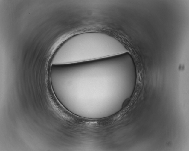 X0000115530054200911061136
