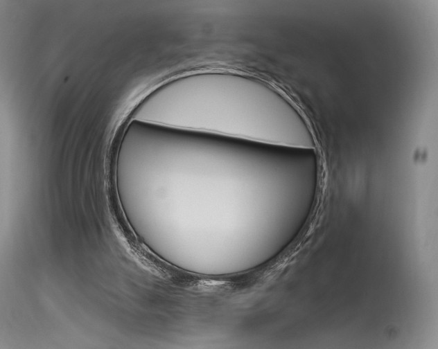 X0000115530055200911061136