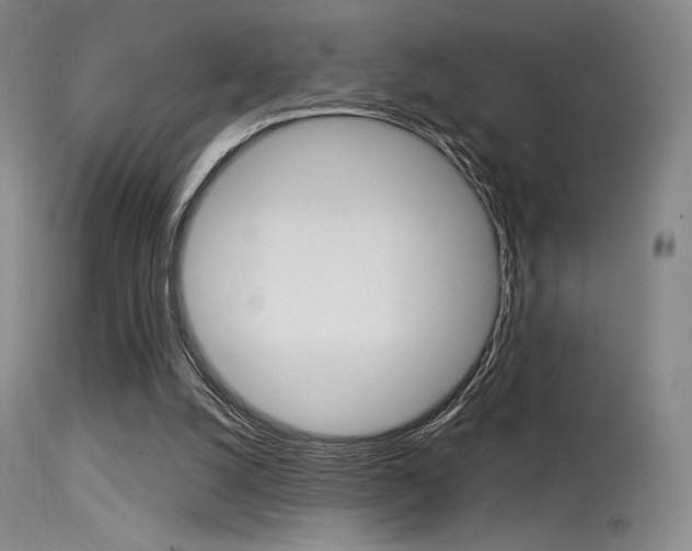 X0000115530056200911061136