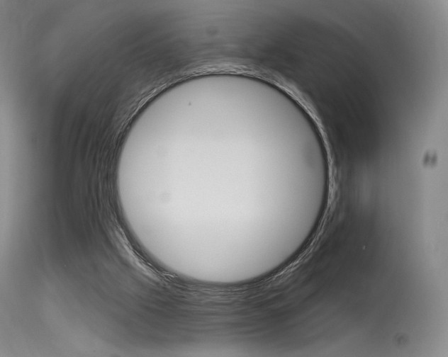 X0000115530057200911061136