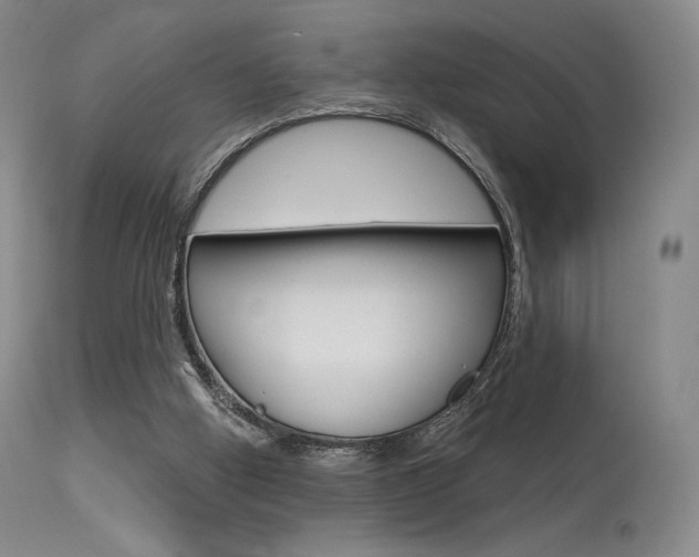 X0000115530058200911061136