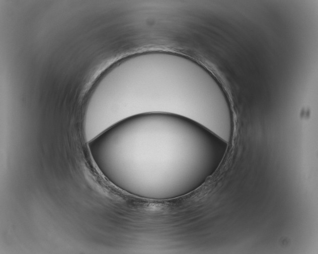 X0000115530060200911061137