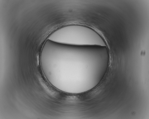 X0000115530061200911061137