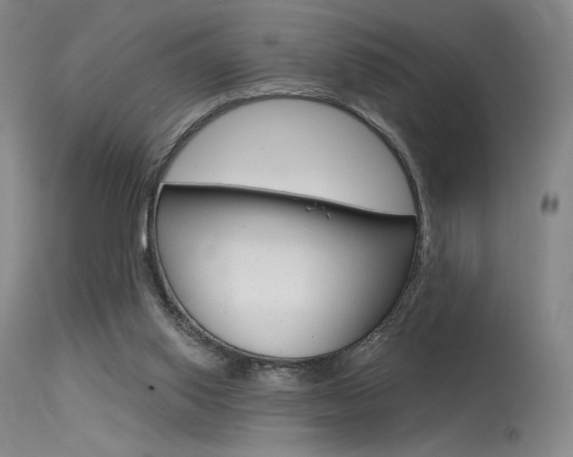 X0000115530062200911061137