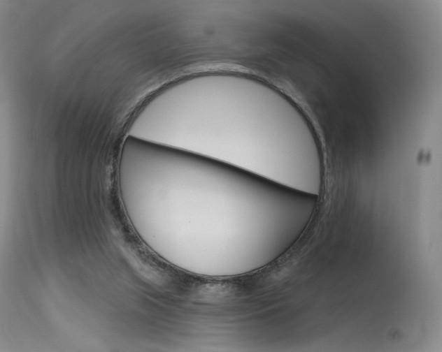 X0000115530063200911061137