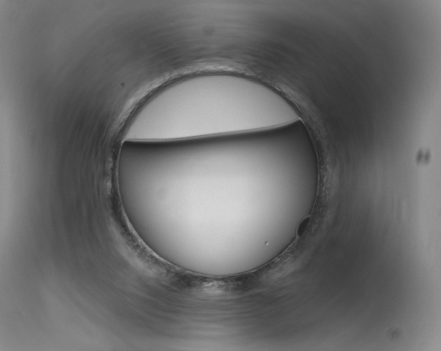 X0000115530064200911061137