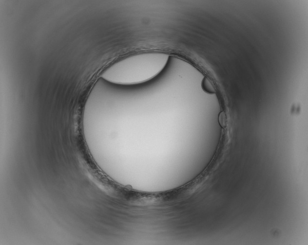 X0000115530065200911061137