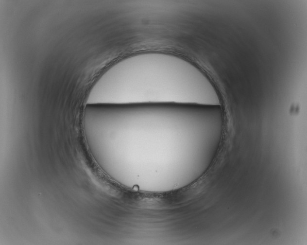 X0000115530066200911061137