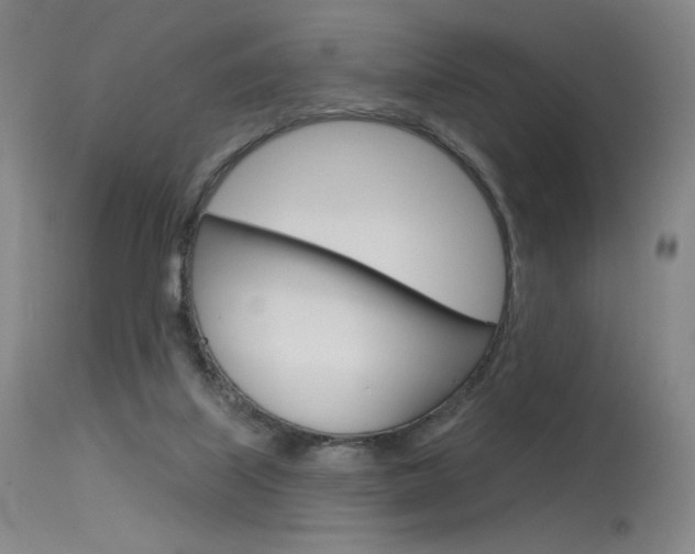 X0000115530067200911061137