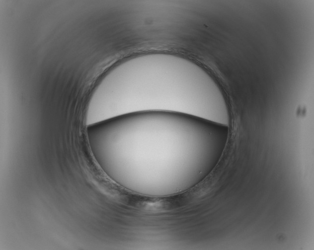 X0000115530068200911061137