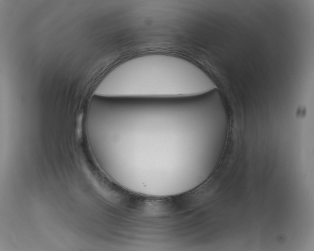 X0000115530070200911061137
