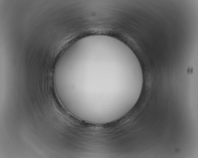 X0000115530071200911061137