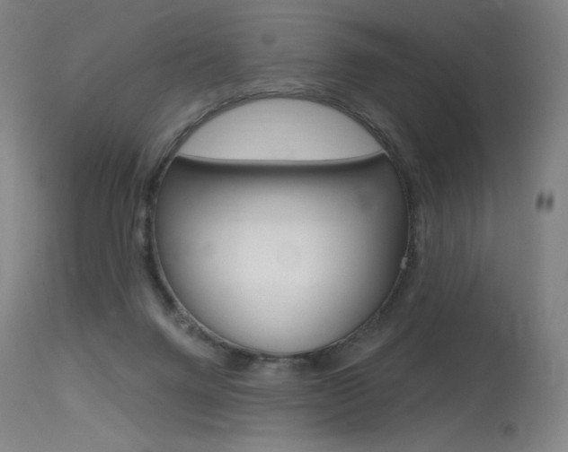 X0000115530072200911061137