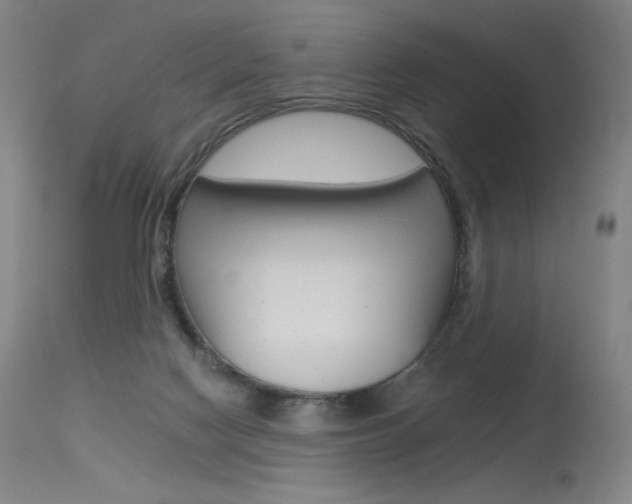 X0000115530074200911061137
