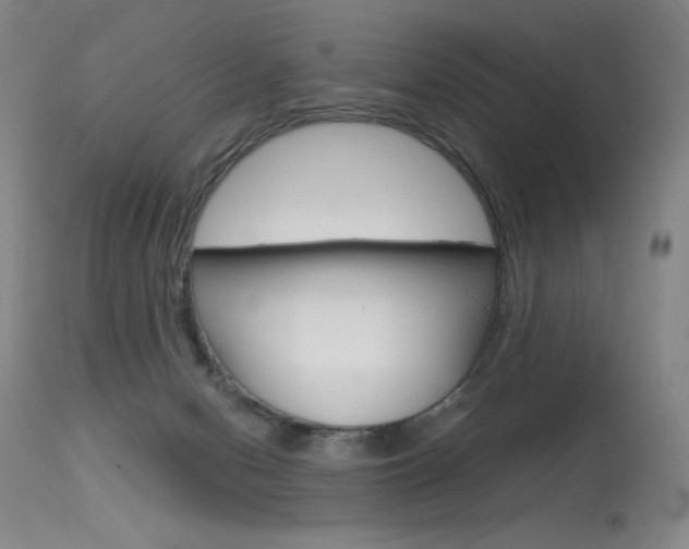 X0000115530078200911061137