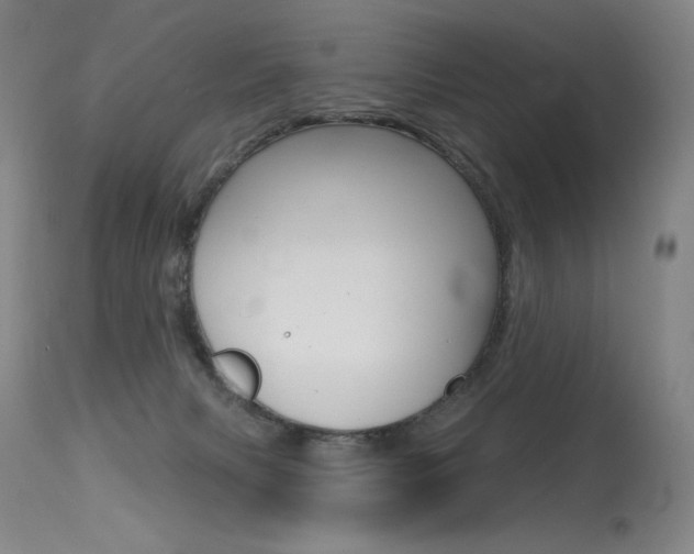 X0000115530079200911061137