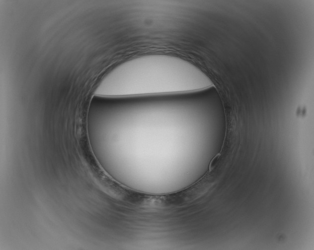 X0000115530080200911061137