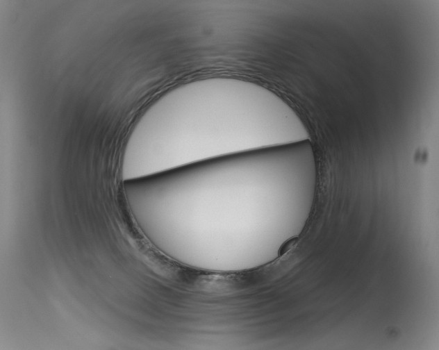X0000115530082200911061137
