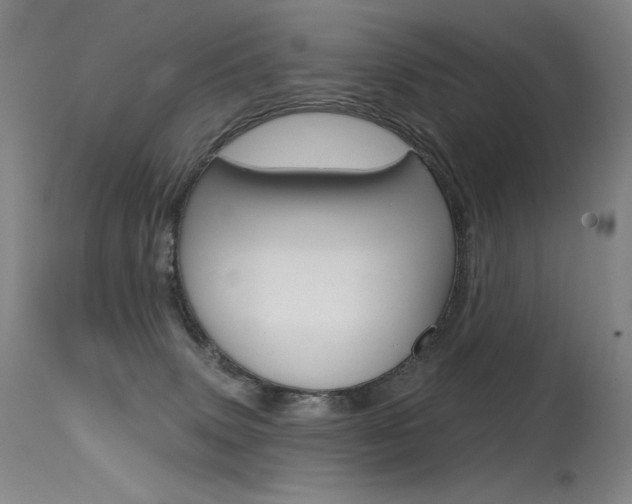 X0000115530083200911061137